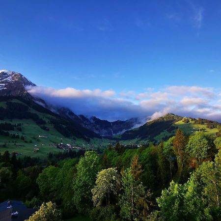 Fewo Fernsicht Crystal Adelboden Zewnętrze zdjęcie