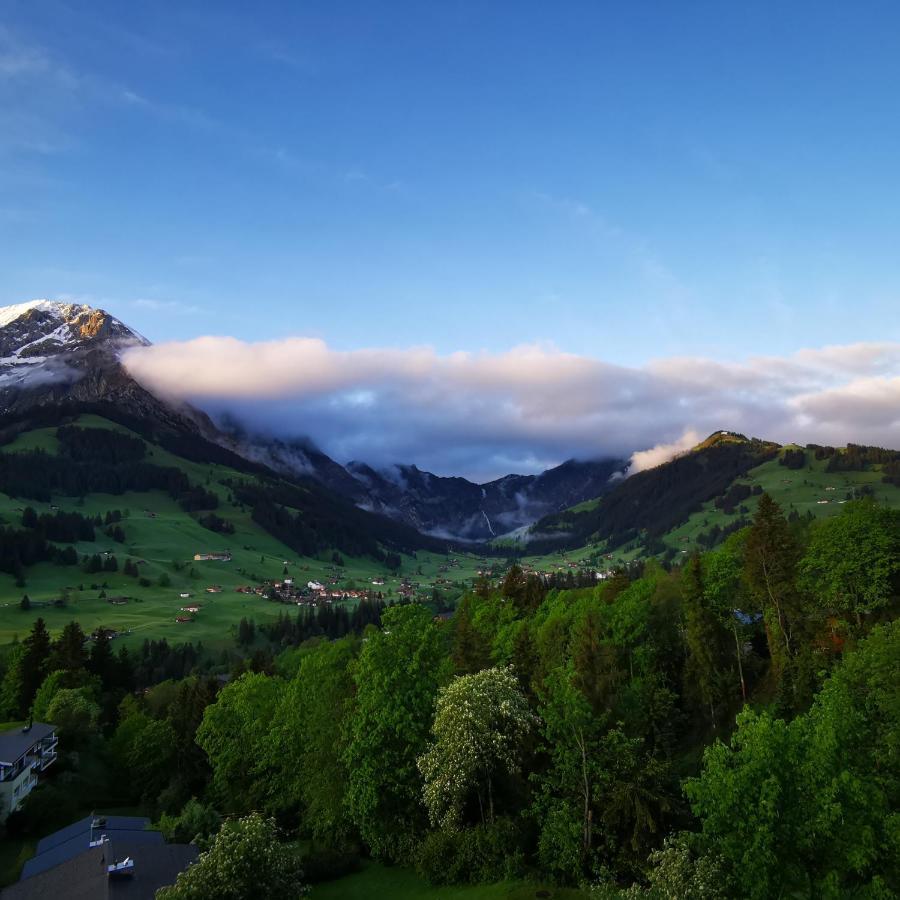 Fewo Fernsicht Crystal Adelboden Zewnętrze zdjęcie